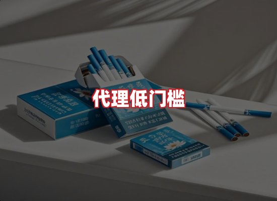 专业团队